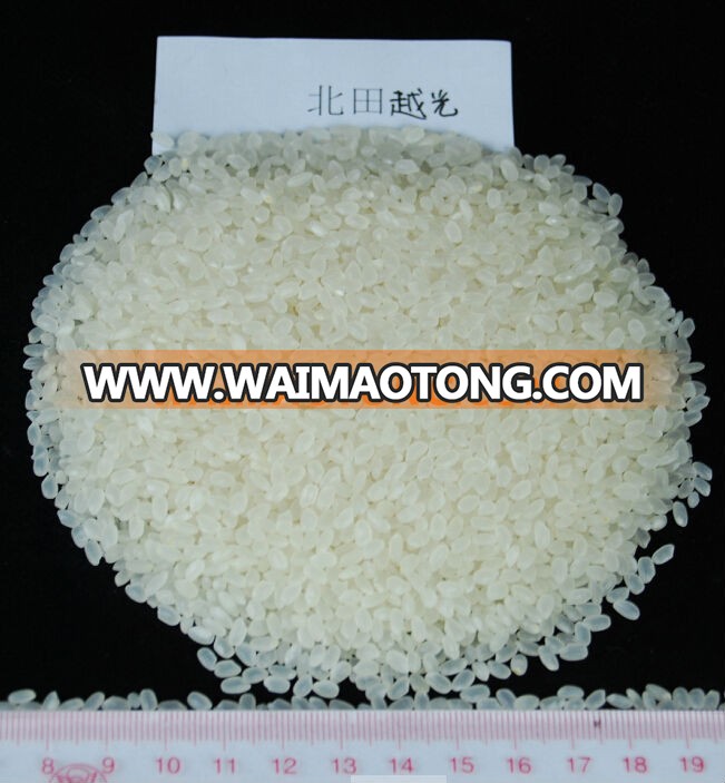 China Short Grain Round Rice / Calrose Rice