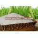 Vietnam jasmine rice 5% broken - 100% clean and dried